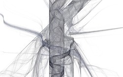 2014 12 15 Shadow Play 010-white.jpg